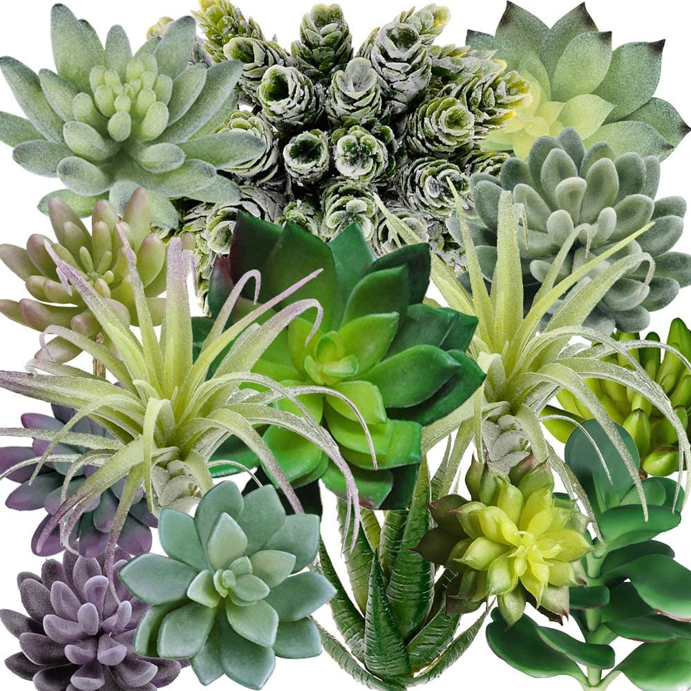 Echeveria Succulent - Lot de 15 plantes succulentes artificielles