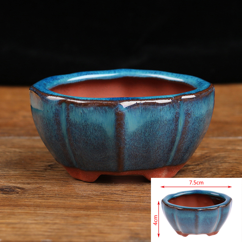 Mini Pot de fleurs bonsaï en c - Echeveria Succulent avis et prix