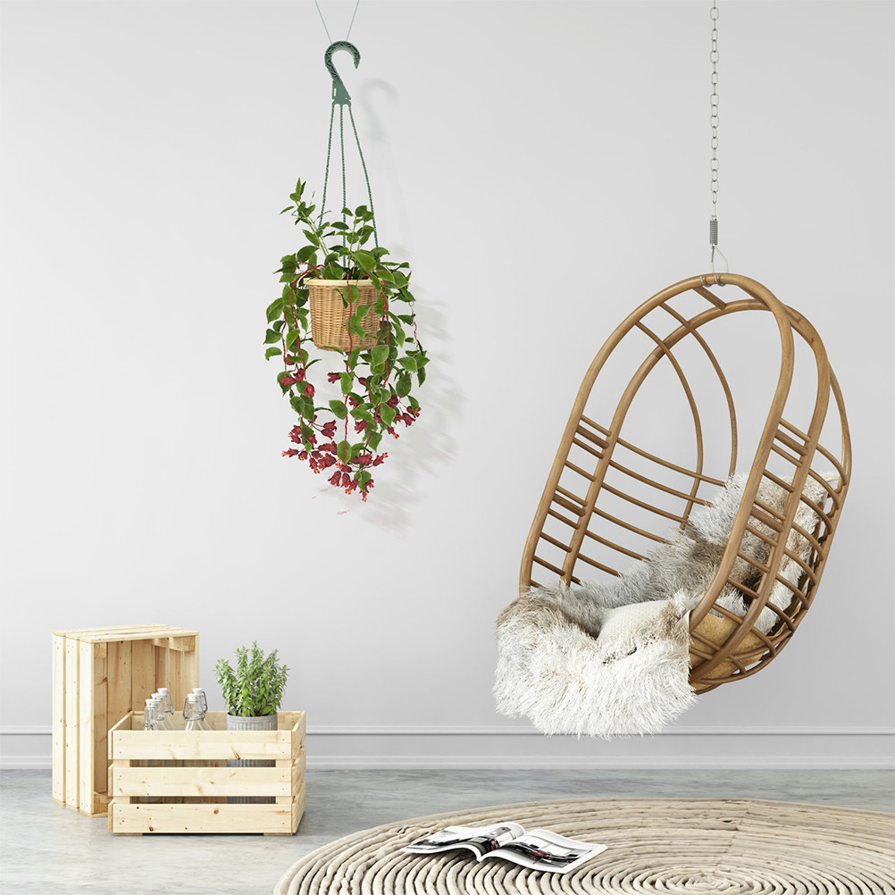 Ensemble de 5 crochets pour ja - Spider Plant Hanging avis et prix